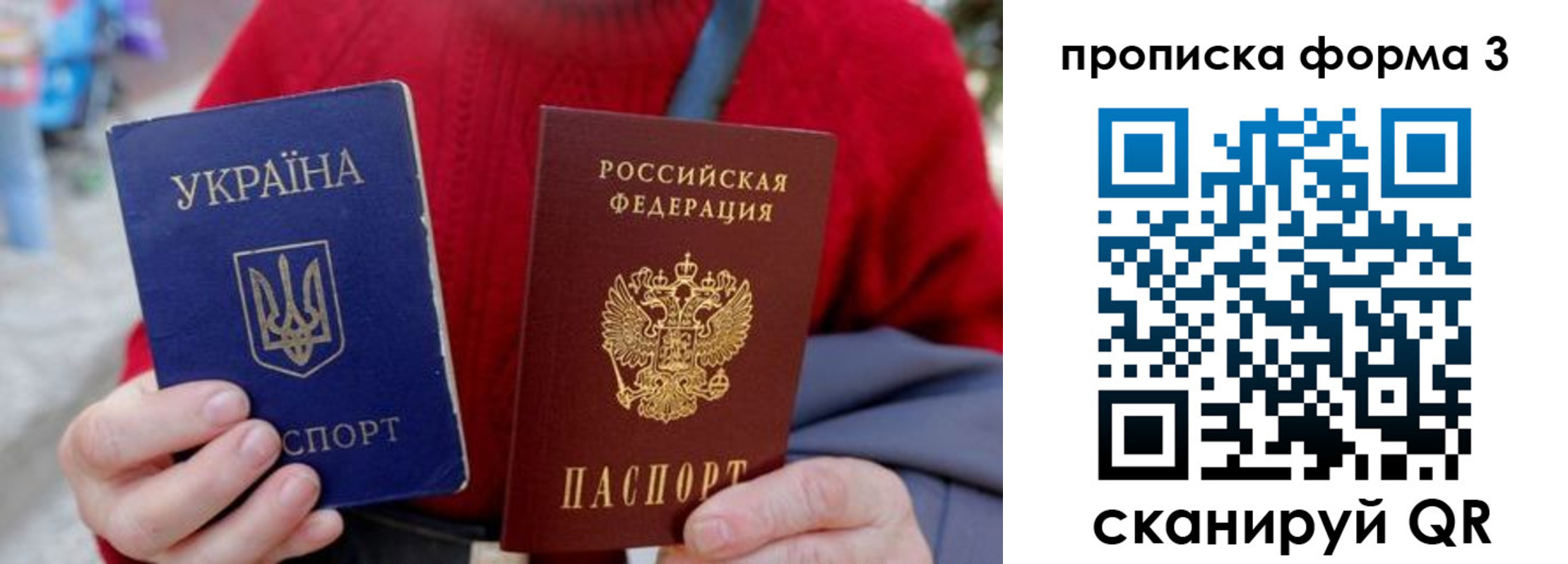 прописка гарантия в Туле